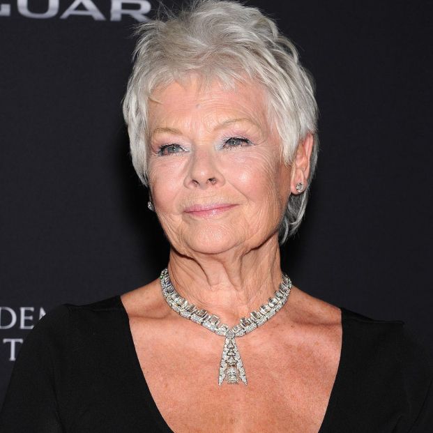 bigstock LOS ANGELESOCT Dame Ju 78400334