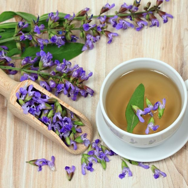 bigstock Sage Herbal Tea Salvia Offici 358681904 bigstock Sage Herbal Tea Salvia Offici 358681904