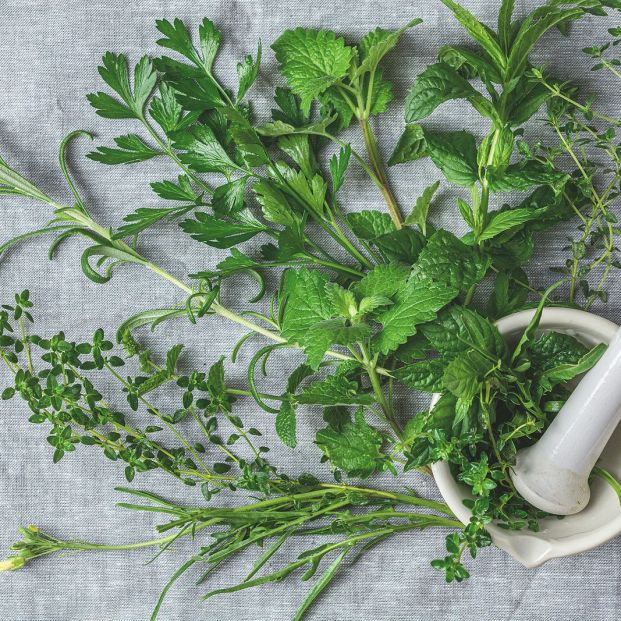 bigstock Mortar With Herbs And Spices316045261 bigstock Mortar With Herbs And Spices316045261