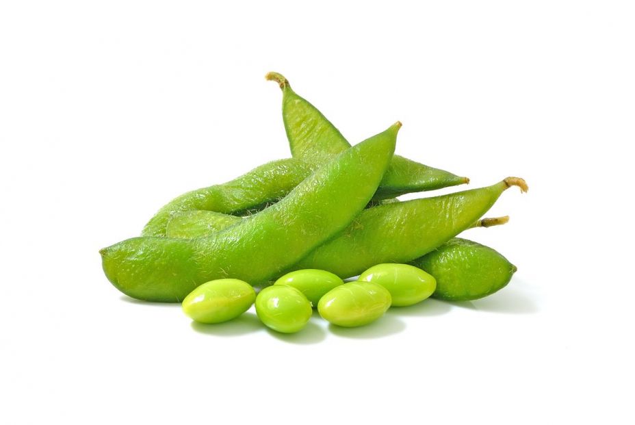 edamame 01 edamame 01