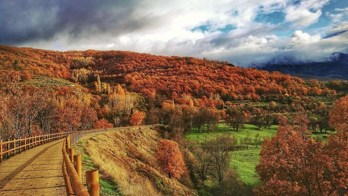 El Camino de la Plata une a Extremadura, Galicia, Andalucía y Castilla y León