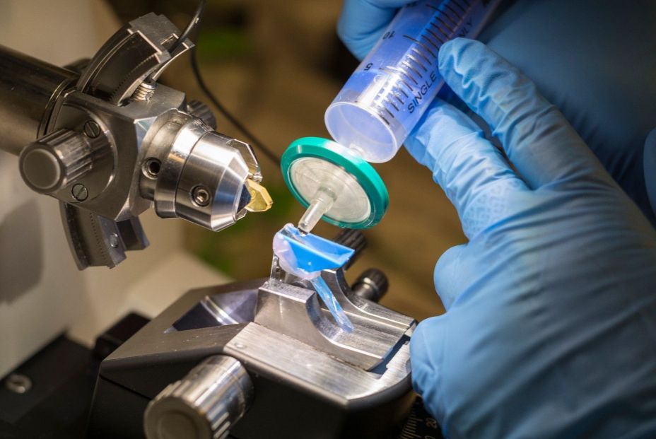 EuropaPress 3162563 detalla estudio laboratorios servicios generales investigacion us EuropaPress 3162563 detalla estudio laboratorios servicios generales investigacion us