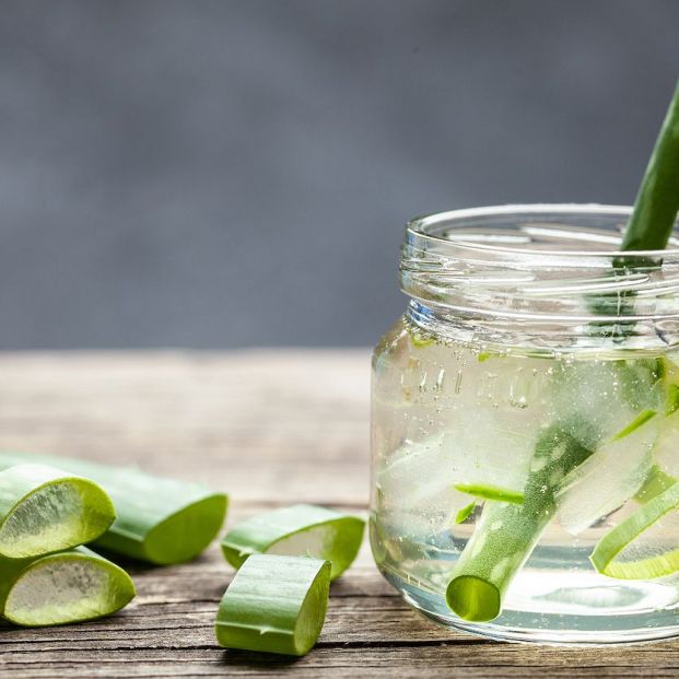 Aloe Vera Gel Aloe Vera Gel