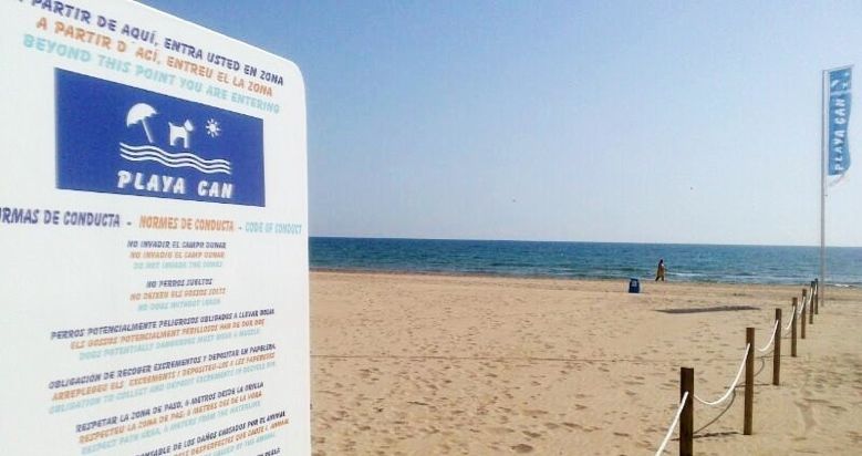 playa perros 05 playa perros 05