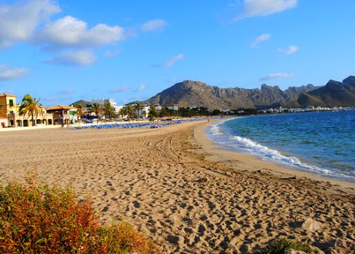 playa perros 09 playa perros 09