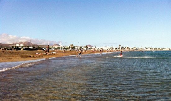 playa perros 010 playa perros 010