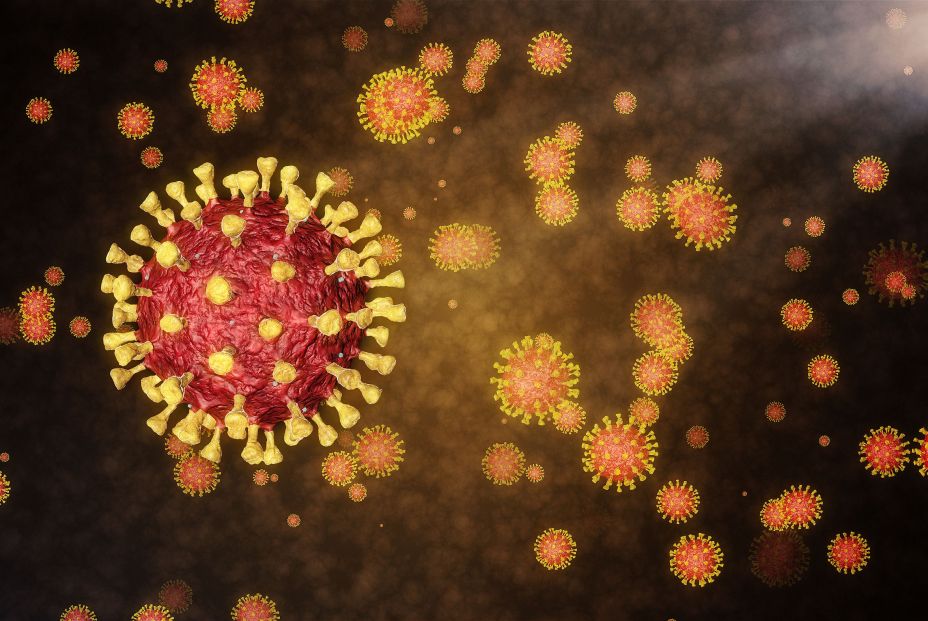 Investigadores alemanes identifican el 'talón de Aquiles' del nuevo coronavirus Investigadores alemanes identifican el 'talón de Aquiles' del nuevo coronavirus