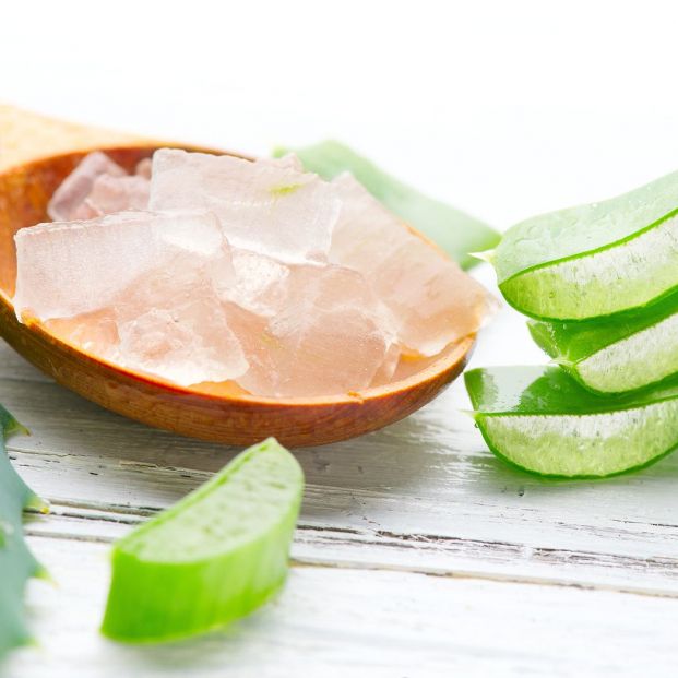 bigstock Aloe Vera gel closeup Sliced303210271 bigstock Aloe Vera gel closeup Sliced303210271