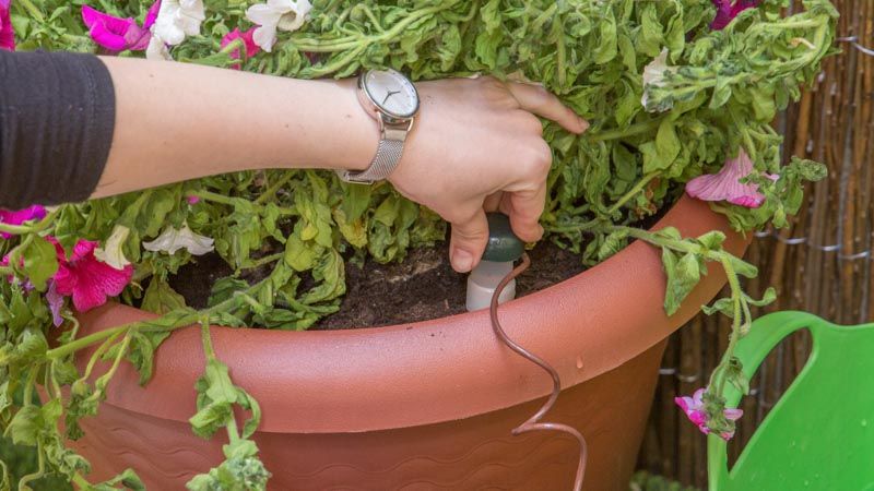 Cono cerámica riego