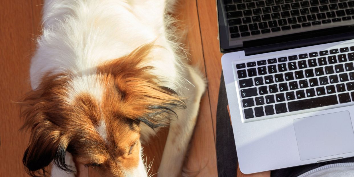 teletrabajo teletrabajo