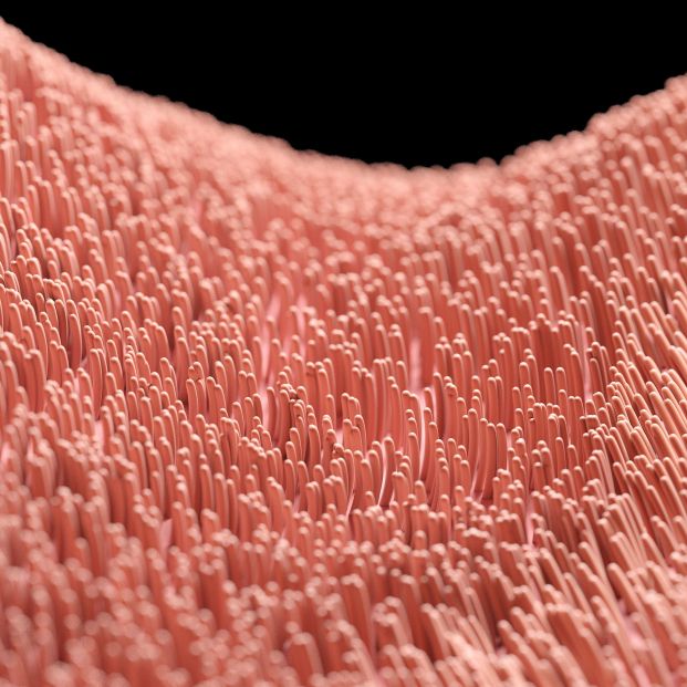 bigstockd rendered illustration of hu 265974217 bigstockd rendered illustration of hu 265974217