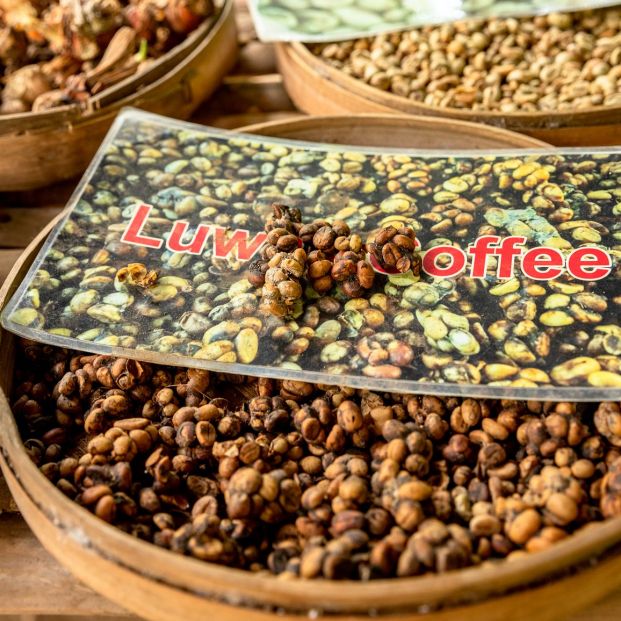 Este café es uno de los alimentos más caros del mundo (bigstock)