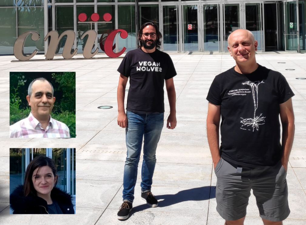 Foto: Andrés Hidalgo, José Antonio Enríquez, José Ángel Nicolás Ávila y Ana Victoria Lechuga Vieco, investigadores del CNIC Foto: Andrés Hidalgo, José Antonio Enríquez, José Ángel Nicolás Ávila y Ana Victoria Lechuga Vieco, investigadores del CNIC