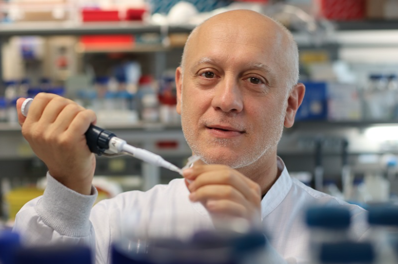 Andrés Hidalgo CNIC Andrés Hidalgo CNIC