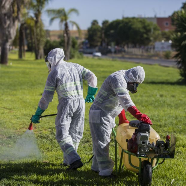 El virus del Nilo causa una cuarta muerte en Sevilla, un hombre de 77 años El virus del Nilo causa una cuarta muerte en Sevilla, un hombre de 77 años