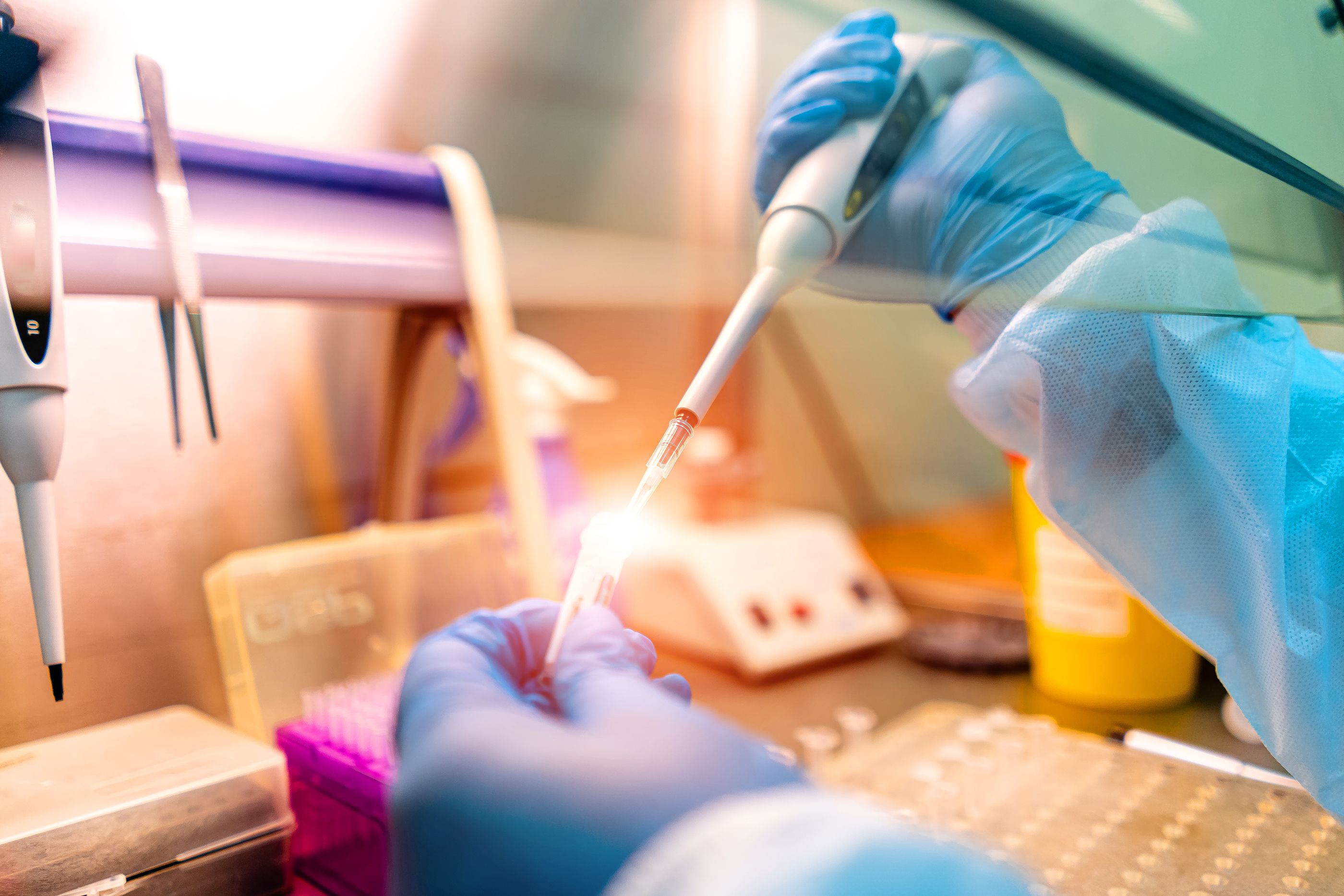 La exdirectora Médica de Inglaterra pone fecha a la siguiente pandemia