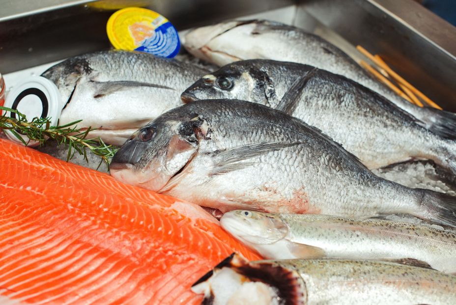 bigstock Fish Food At Shop Close Up R 378508786 bigstock Fish Food At Shop Close Up R 378508786