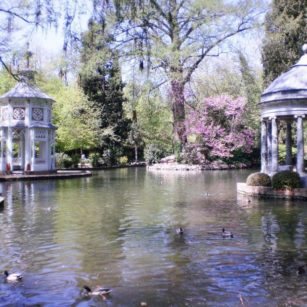 bigstock Beautiful Lake Filled With Duc 324110269 bigstock Beautiful Lake Filled With Duc 324110269