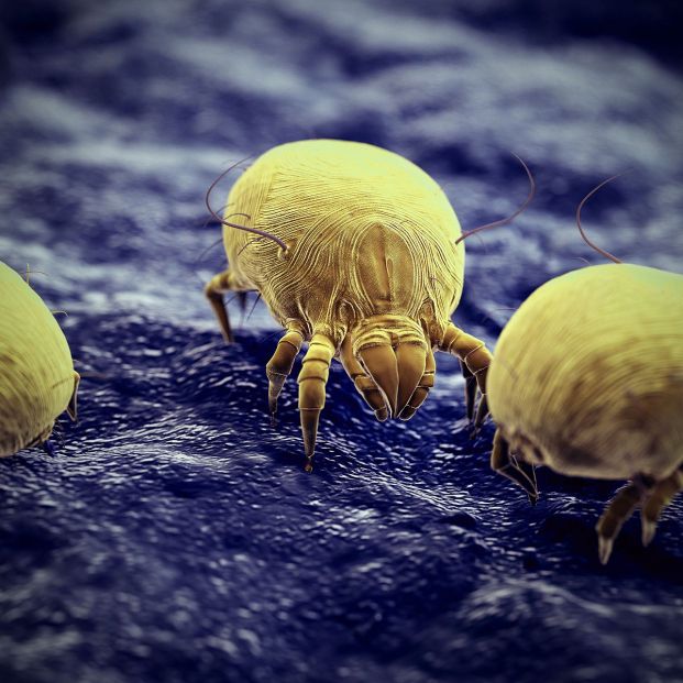 bigstockd rendered illustration of a296258575