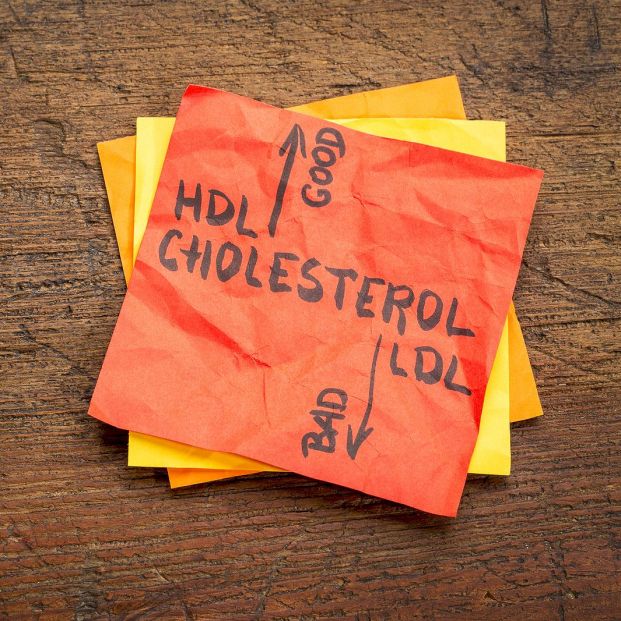 Beber leche de forma habitual no aumenta los niveles de colesterol, según un estudio Beber leche de forma habitual no aumenta los niveles de colesterol, según un estudio