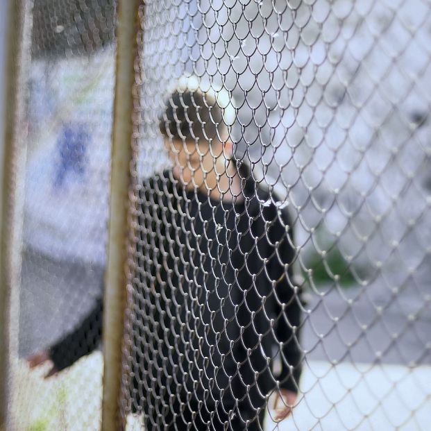 Pensión para huérfanos, esto es lo máximo que podrás estirarla en el tiempo (Foto-Bigstock) Pensión para huérfanos, esto es lo máximo que podrás estirarla en el tiempo (Foto-Bigstock)