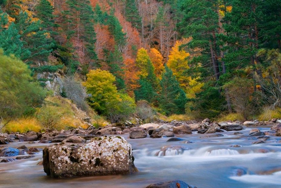 Captura de pantalla 2020 10 09 a las 18.52.25 Captura de pantalla 2020 10 09 a las 18.52.25