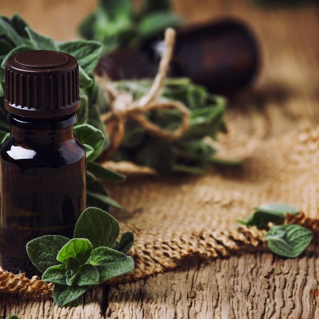 bigstock Organic Essential Oregano Oil382892027 bigstock Organic Essential Oregano Oil382892027