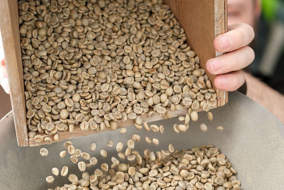 bigstock Green Unroasted Coffee Beans S 330037576 bigstock Green Unroasted Coffee Beans S 330037576