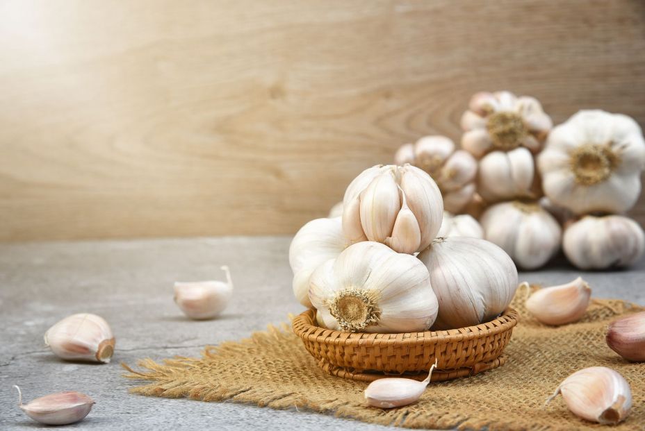 El ajo: un condimento que cuida tu salud El ajo: un condimento que cuida tu salud