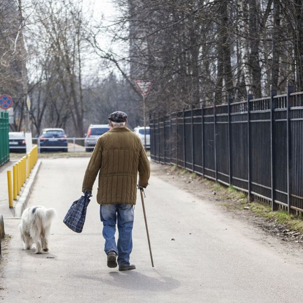 En España un tercio de las personas mayores convive con una mascota, 2,9 millones en total (Bigstock) En España un tercio de las personas mayores convive con una mascota, 2,9 millones en total (Bigstock)