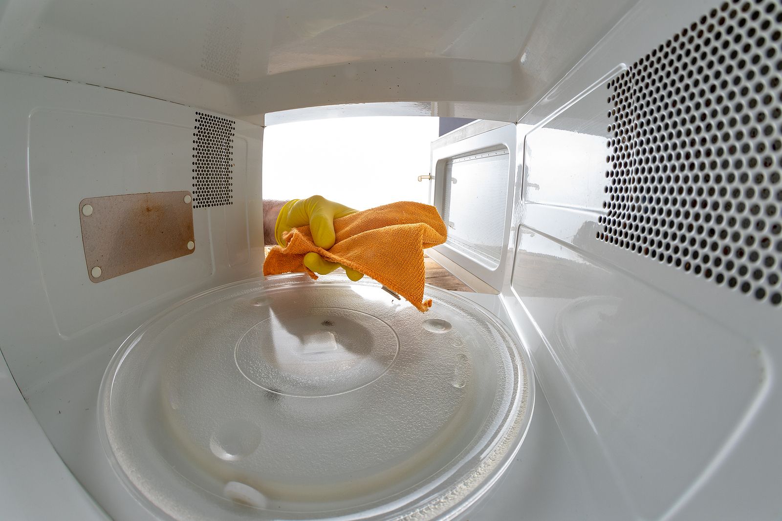 Descubren que los microondas albergan una comunidad especializada y abundante de microbios