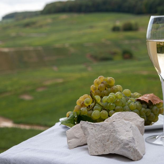 chardonnay chardonnay