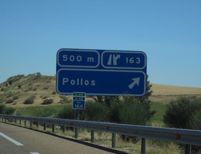 Pollos