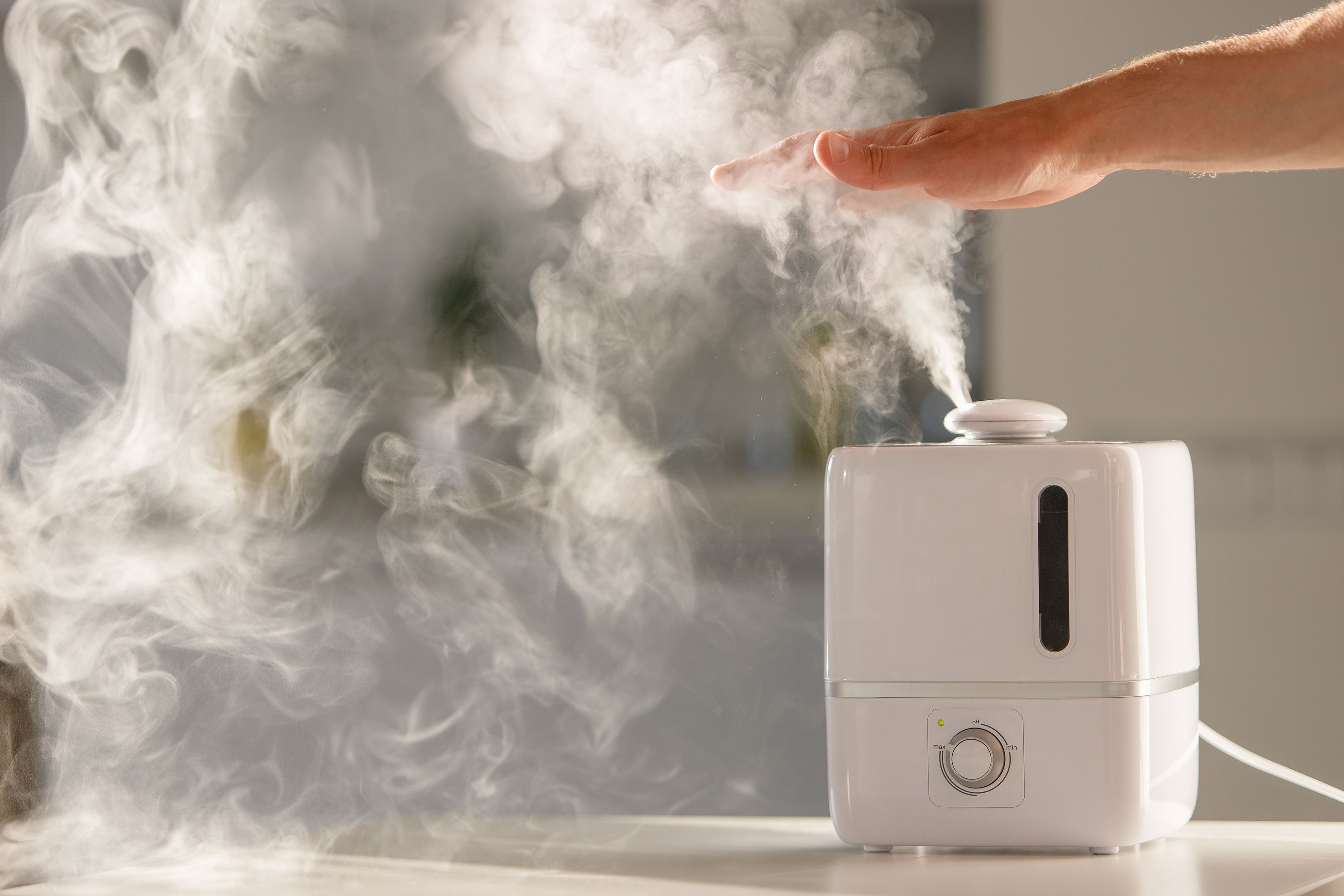 ¿Quieres comprarte un humidificador? Fíjate en estos detalles