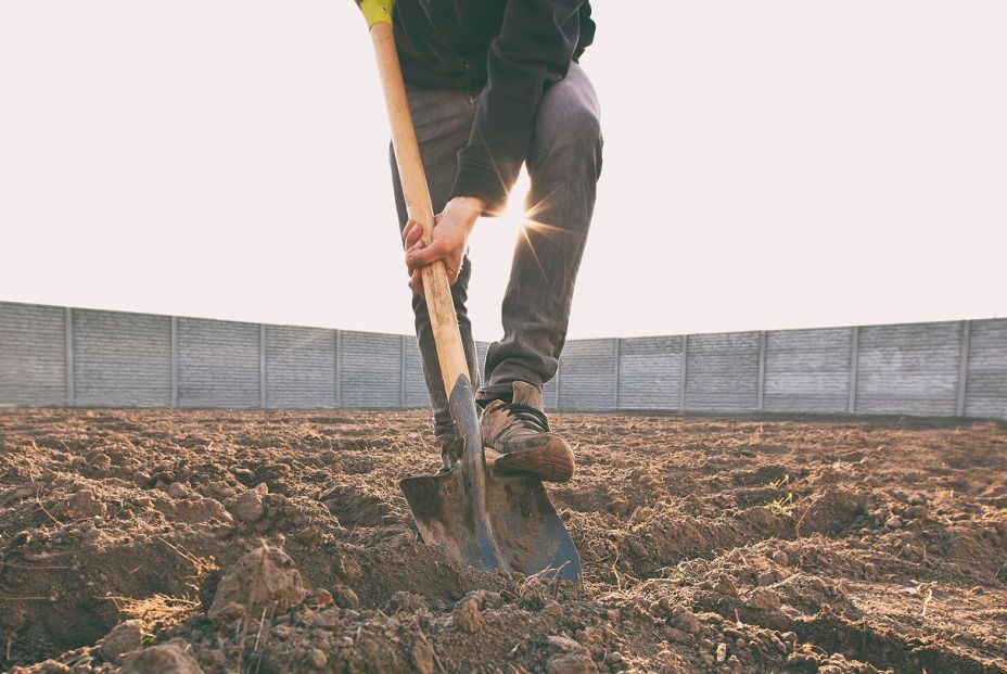 España vaciada: Los jóvenes vuelven al campo a trabajar España vaciada: Los jóvenes vuelven al campo a trabajar