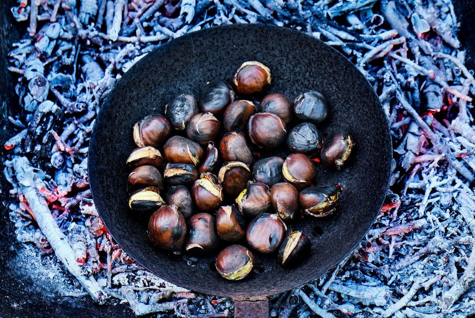 bigstock high angle veiw of some chestn 390789164 bigstock high angle veiw of some chestn 390789164