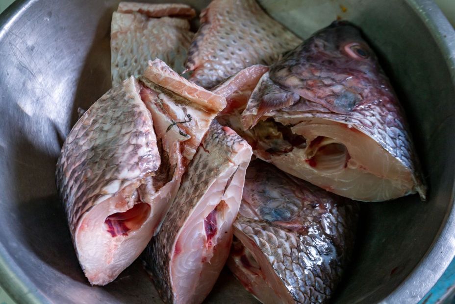 bigstock Tilapia Fish Sliced Piece For390585341