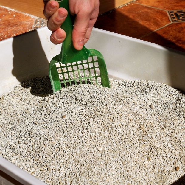 bigstock Cleaning Cat Litter Box Hand299151847