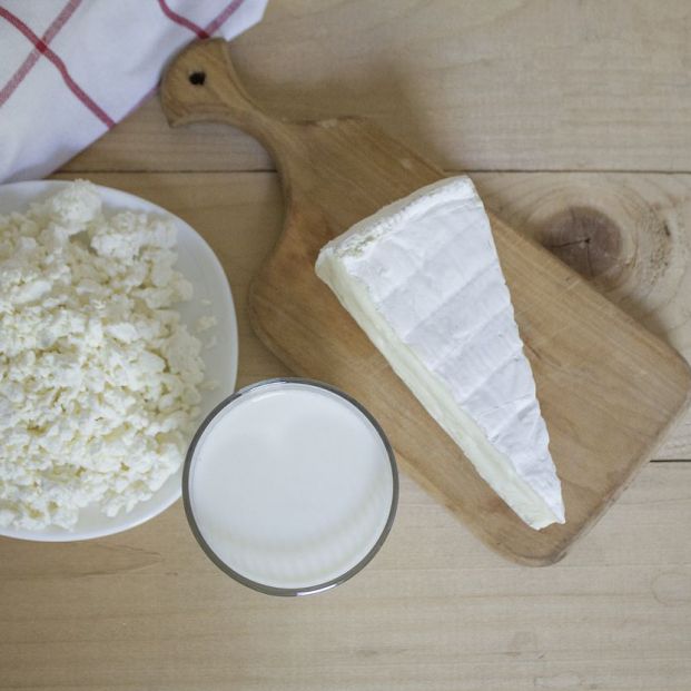 Productos lácteos Productos lácteos