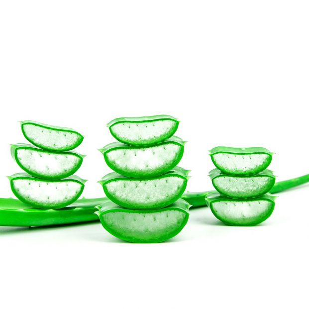 bigstock Slices Of Fresh Aloe Vera Plan 393681932 bigstock Slices Of Fresh Aloe Vera Plan 393681932