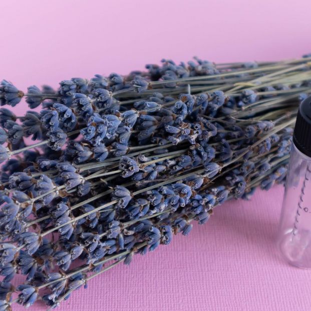 bigstock Lavender Oils Serum Lavender F 386121358 bigstock Lavender Oils Serum Lavender F 386121358