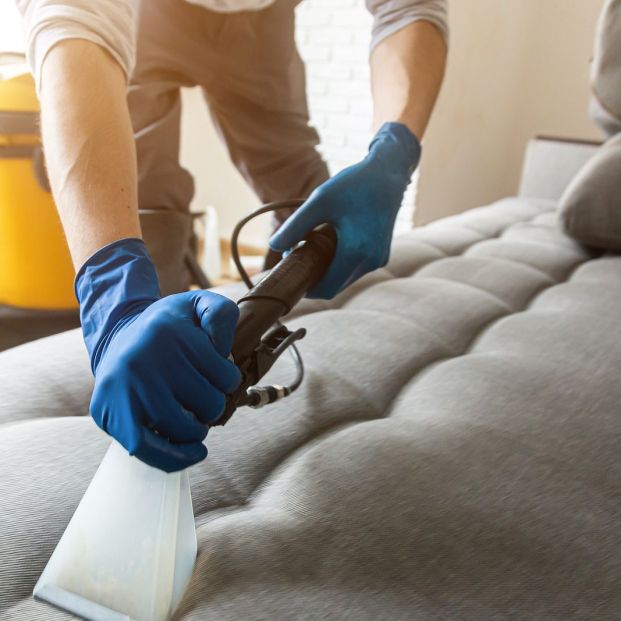 ¿Cómo limpiar la tapicería del sofá? ¿Cómo limpiar la tapicería del sofá?