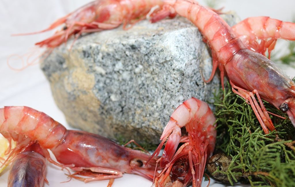 El sector pesquero español se apunta al 'Black Friday' con descuentos El sector pesquero español se apunta al 'Black Friday' con descuentos