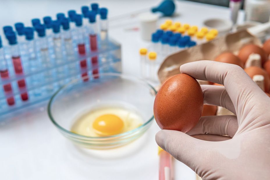 Intoxicaciones alimentarias (2): accidentes y contaminaciones más comunes Intoxicaciones alimentarias (2): accidentes y contaminaciones más comunes