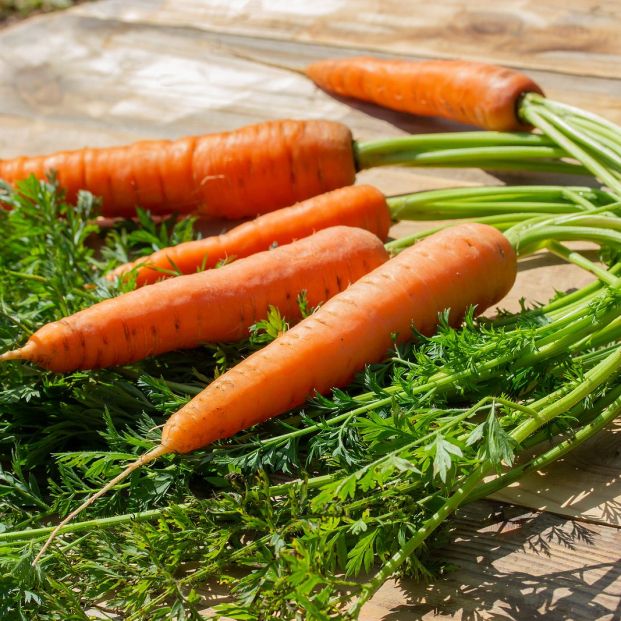 bigstock Bunch Of Fresh Ripe Orange Car 389090533 bigstock Bunch Of Fresh Ripe Orange Car 389090533