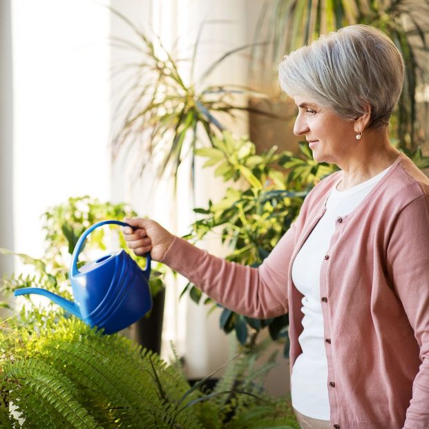 bigstock people housework and plants c 351767963 bigstock people housework and plants c 351767963