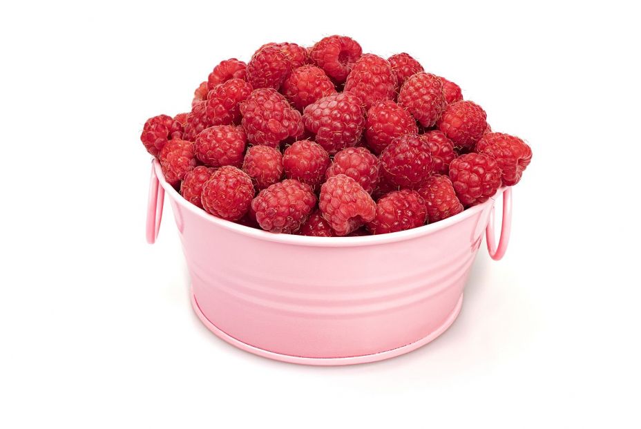 Frutas silvestres que te ayudan a mejorar la salud Frutas silvestres que te ayudan a mejorar la salud