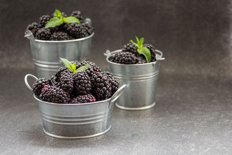 bigstock Metal Kitchenware With Blackbe 334483294 bigstock Metal Kitchenware With Blackbe 334483294