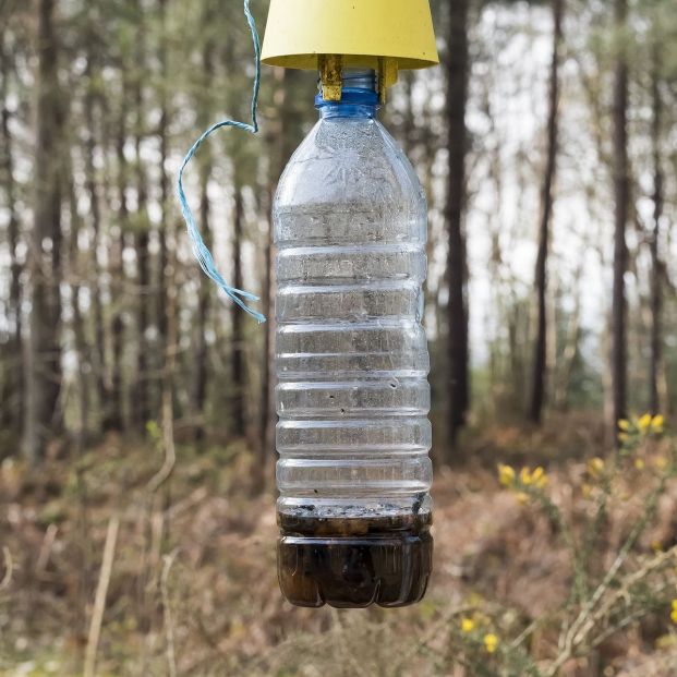 ¿Cómo evitar que entren moscas en nuestra casa? ¿Cómo evitar que entren moscas en nuestra casa?