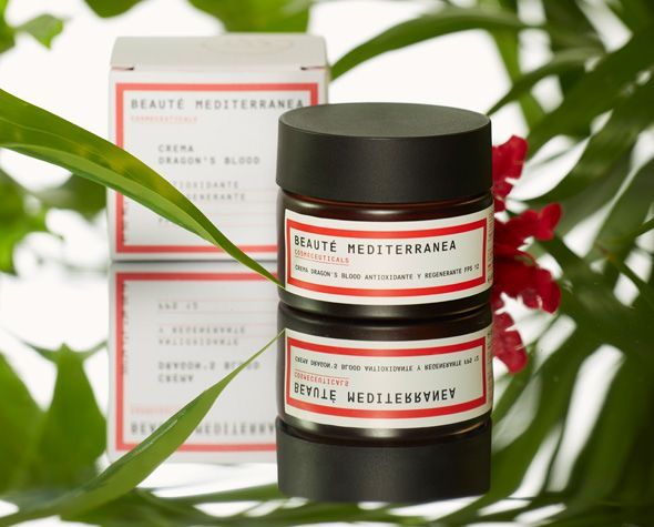 bodegon dragons bodegon dragons